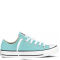 Converse All Star Poolside Low